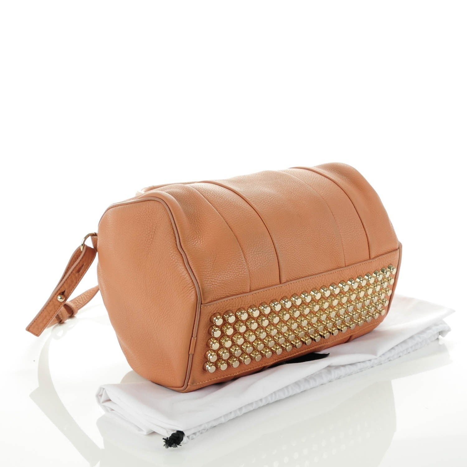 Alexander Wang Soft Pebbled Lambskin Rocco Tan Pale Gold Hardware 4 of 9