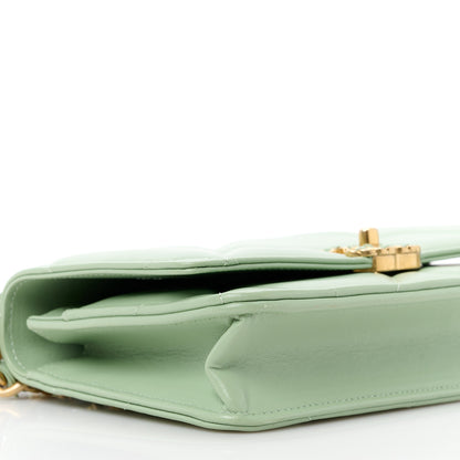 Chanel Lambskin Quilted Chanel 19 Wallet On Chain WOC Light Green 10 of 12