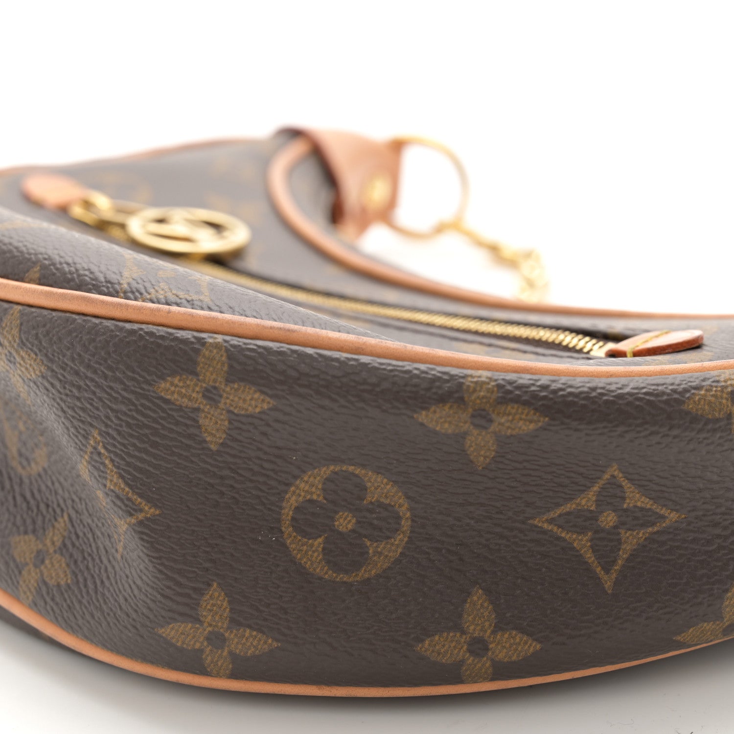 Louis Vuitton Monogram Loop 9 of 11