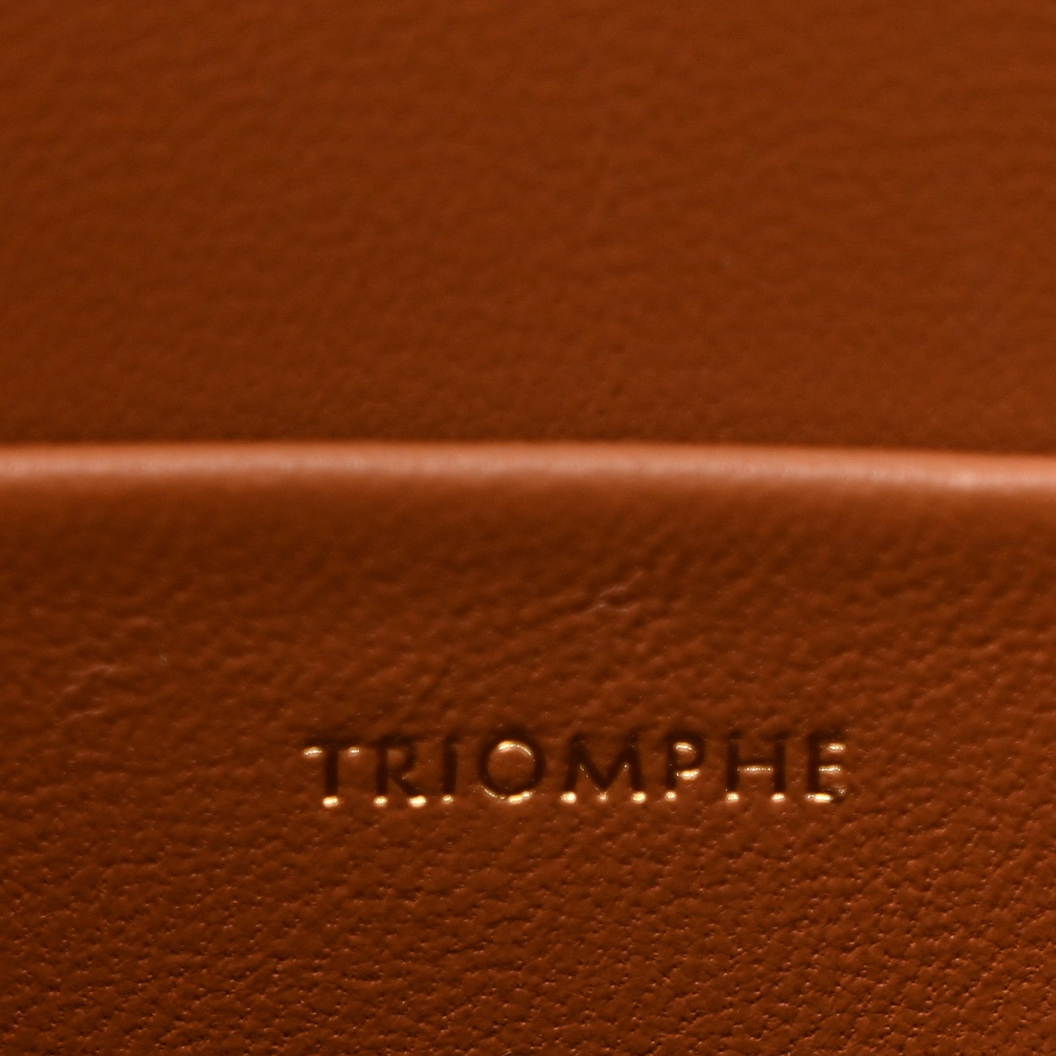 Celine Textile Natural Calfskin Teen Triomphe White Tan 7 of 10