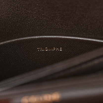 Celine Shiny Calfskin Teen Besace Brown 7 of 10