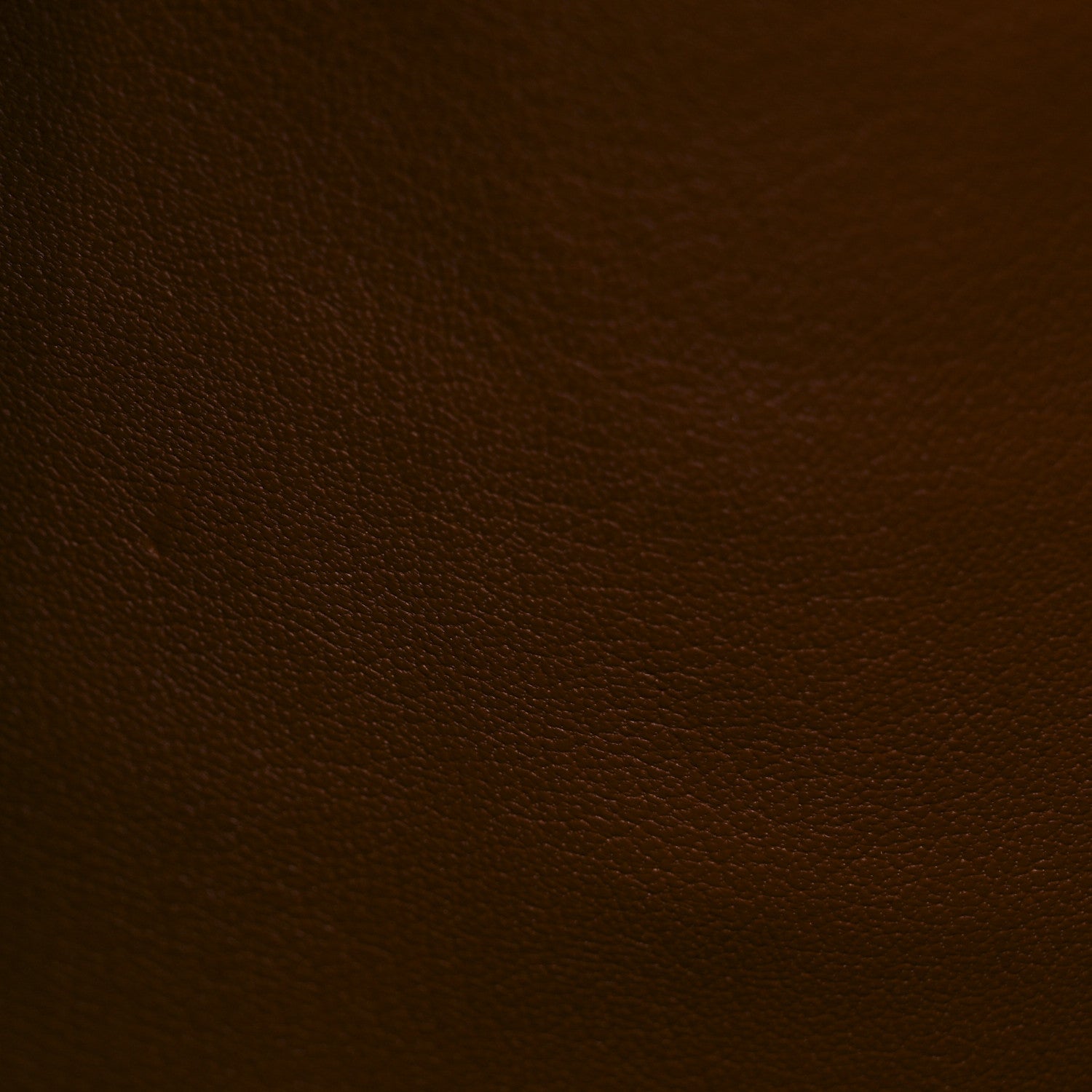 Louis Vuitton Alligator City Steamer MM Sienna Brown 11 of 15