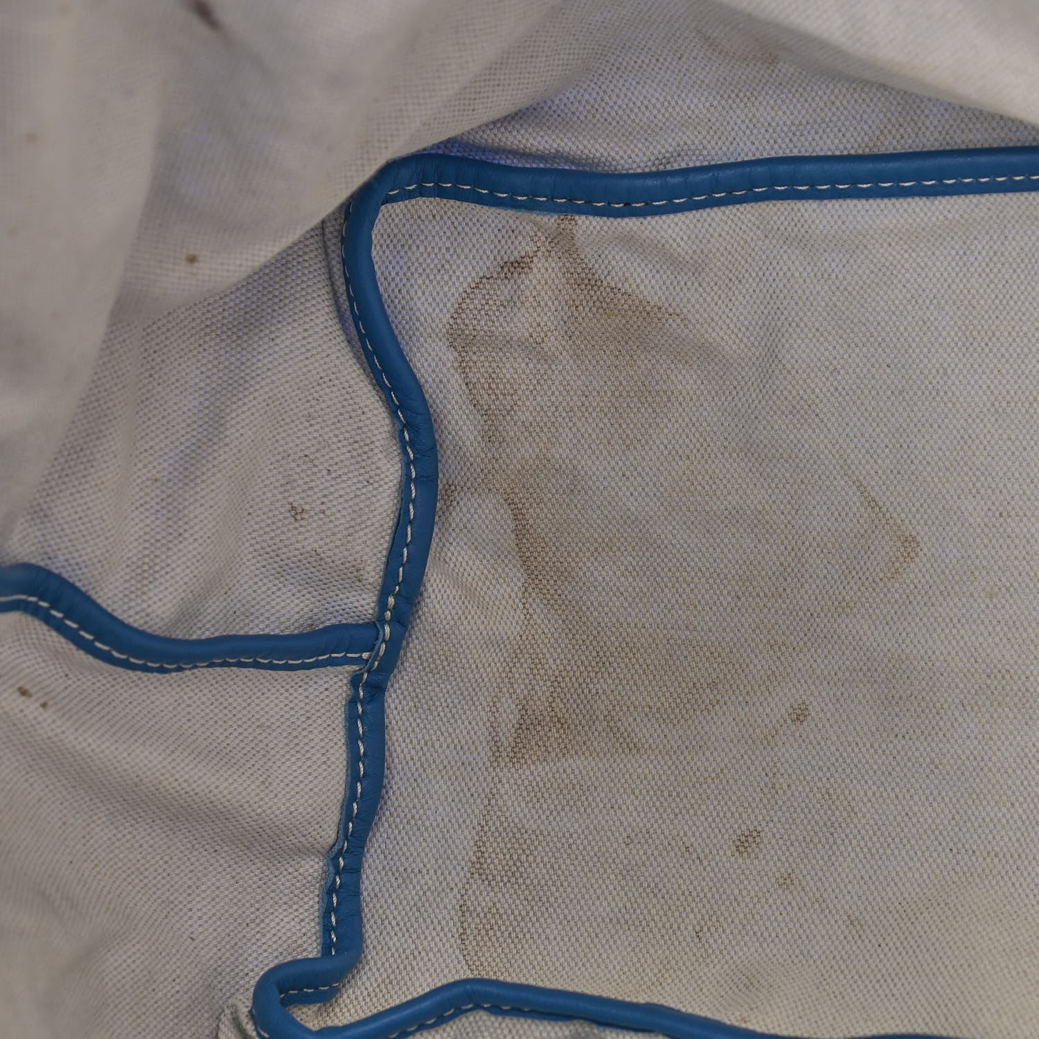 Goyard Goyardine Saint Louis GM Sky Blue 14 of 14