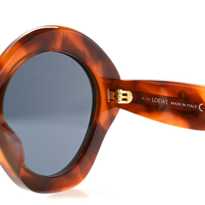 Loewe Acetate Curvy Cat Eye Sunglasses LW40125U Light Havana 5 of 7