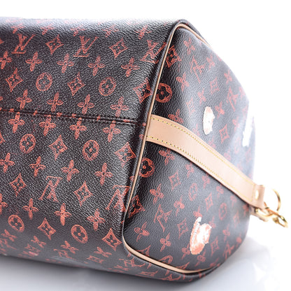 Louis Vuitton Catogram Speedy Bandouliere 30 Marron 10 of 11