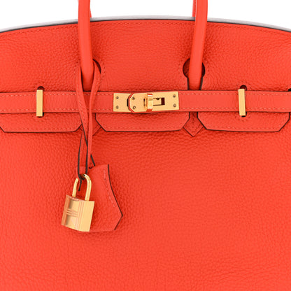 Hermes Togo Birkin 25 Capucine 8 of 10