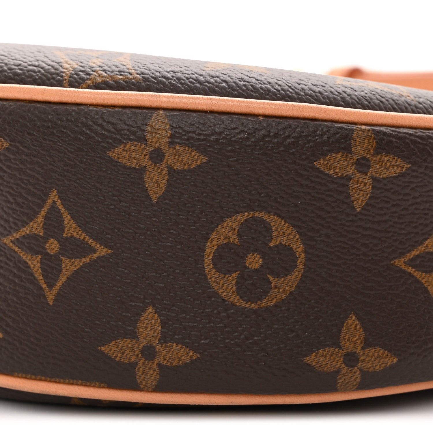 Louis Vuitton Monogram Loop 9 of 9