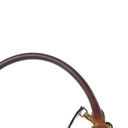 Celine Smooth Calfskin Suede Medium Trapeze Tan 16 of 18