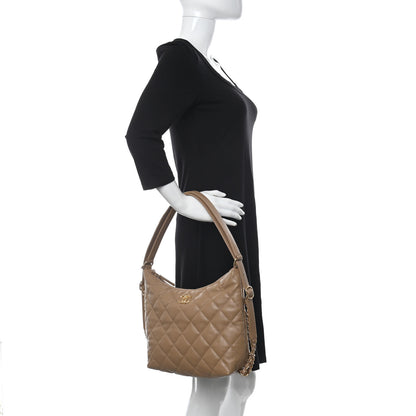 Chanel Lambskin Quilted Hobo Beige 2 of 11