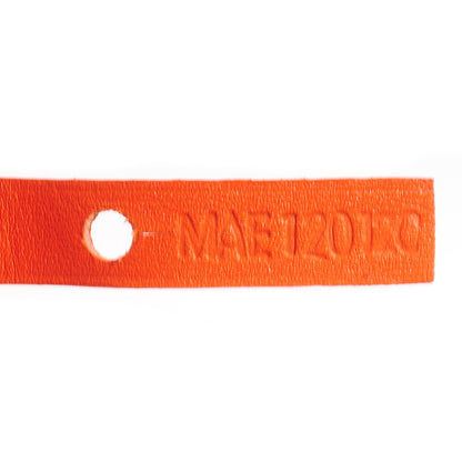 Goyard Goyardine Saint Louis PM Orange 6 of 8