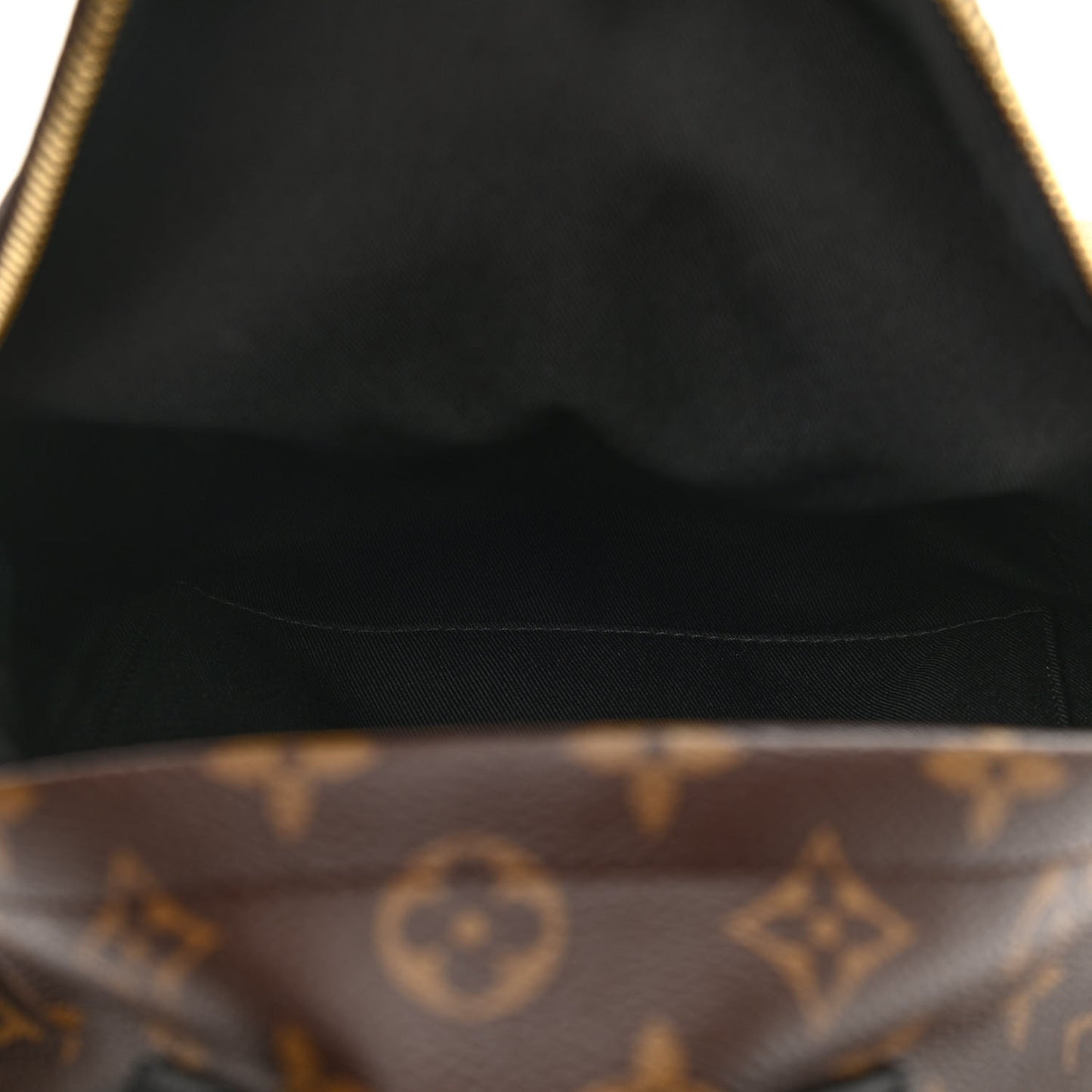 Monogram Palm Springs Backpack PM