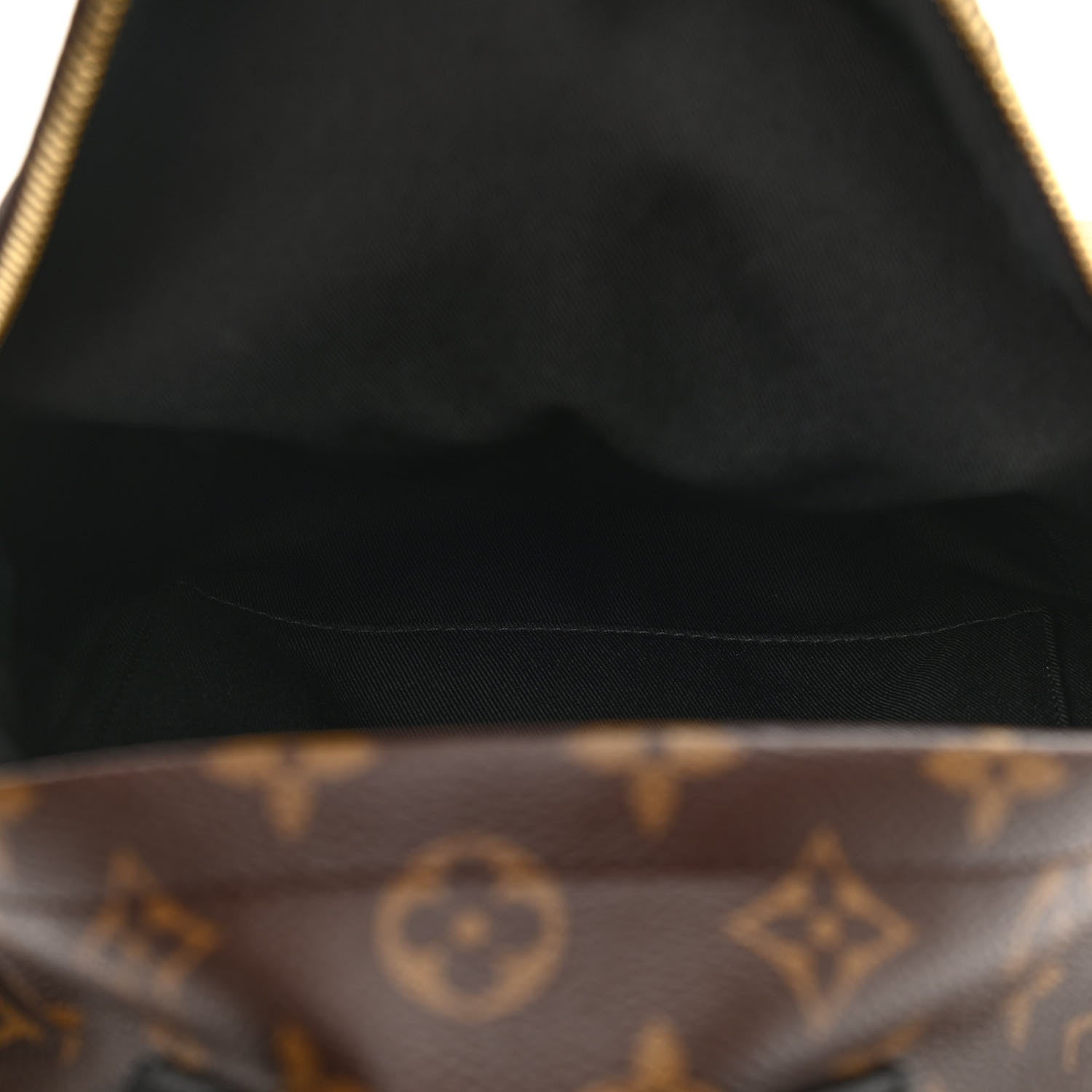 Louis Vuitton Monogram Palm Springs Backpack PM 5 of 10