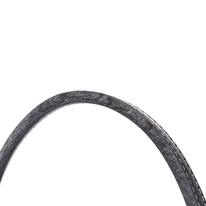 Goyard Goyardine Saint Louis PM Grey 17 of 17