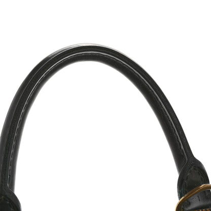 Louis Vuitton Epi Alma PM Black 15 of 16