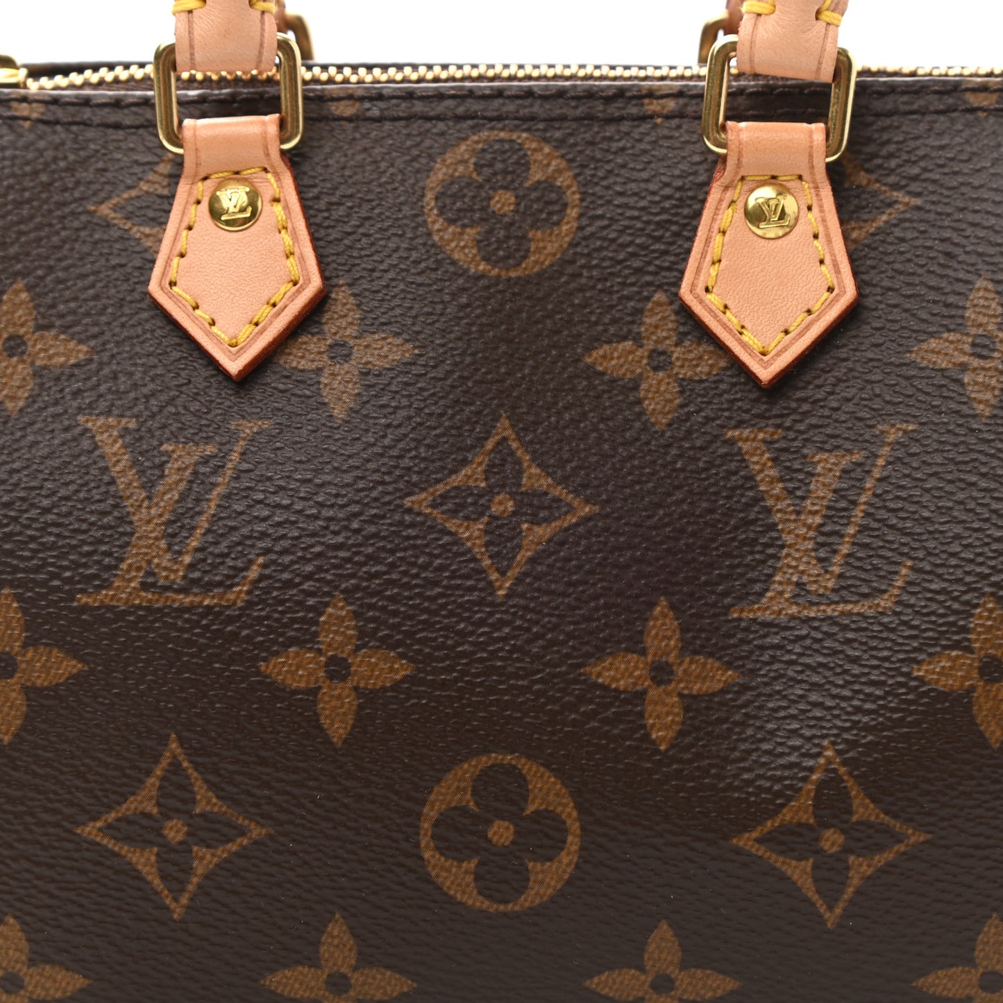 Monogram Nano Speedy