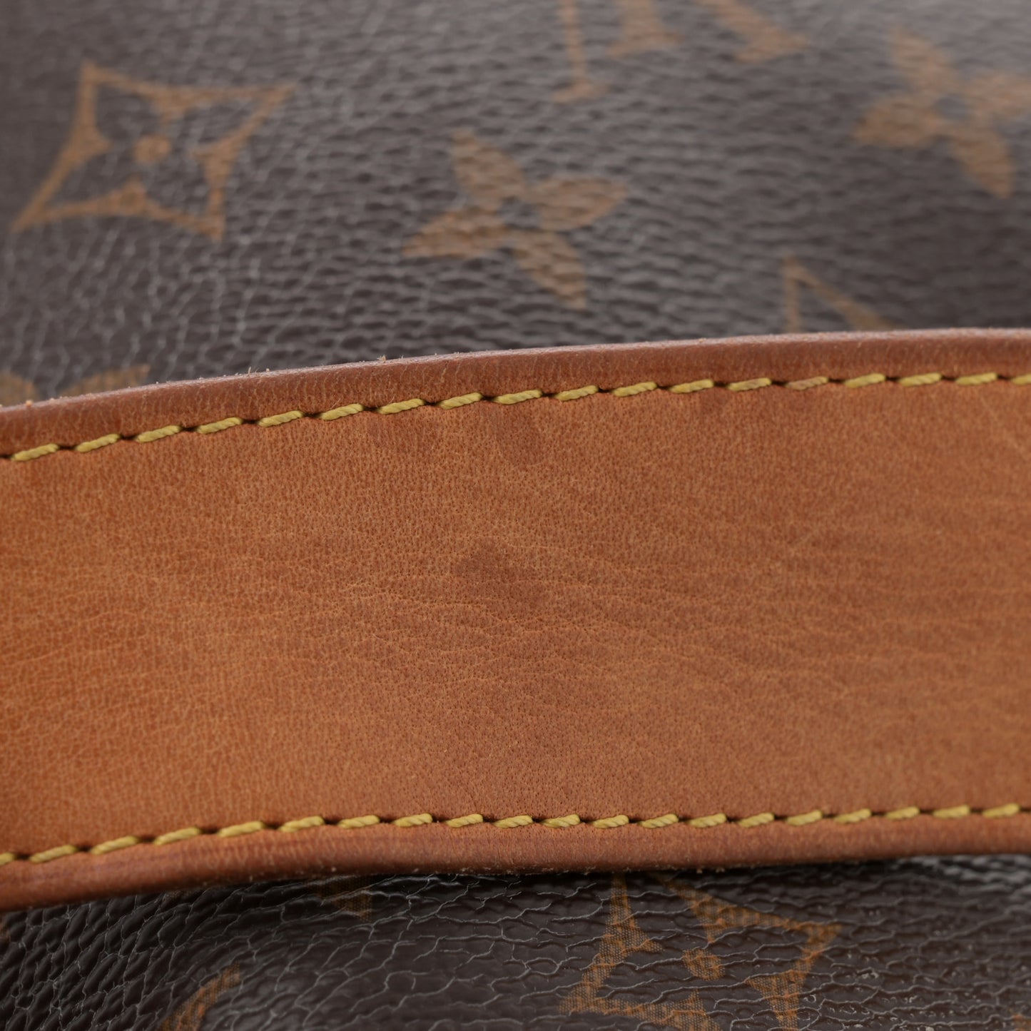 Monogram Delightful PM