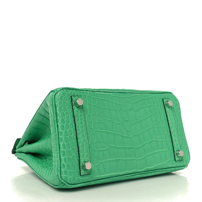 Hermes Matte Alligator Birkin 25 Vert Comics 4 of 13