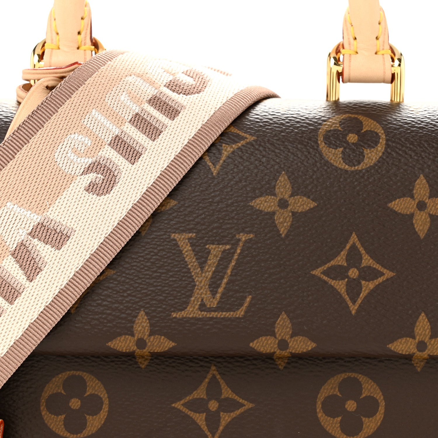Louis Vuitton Monogram Mini Cluny 7 of 10