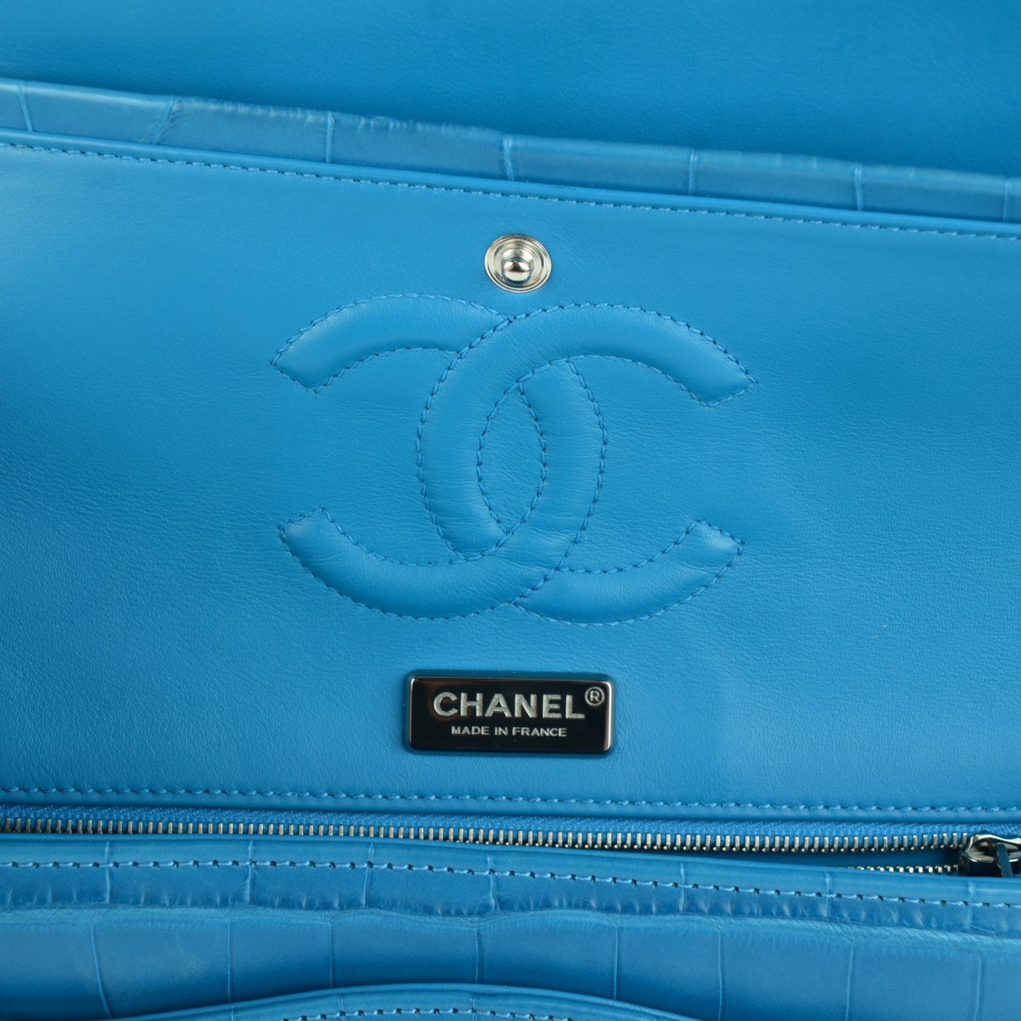 Alligator Medium Double Flap Blue