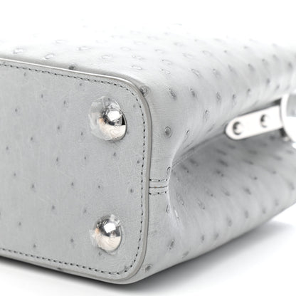 Louis Vuitton Ostrich Capucines BB Gris 10 of 10