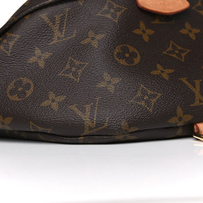Louis Vuitton Monogram Bumbag 9 of 16
