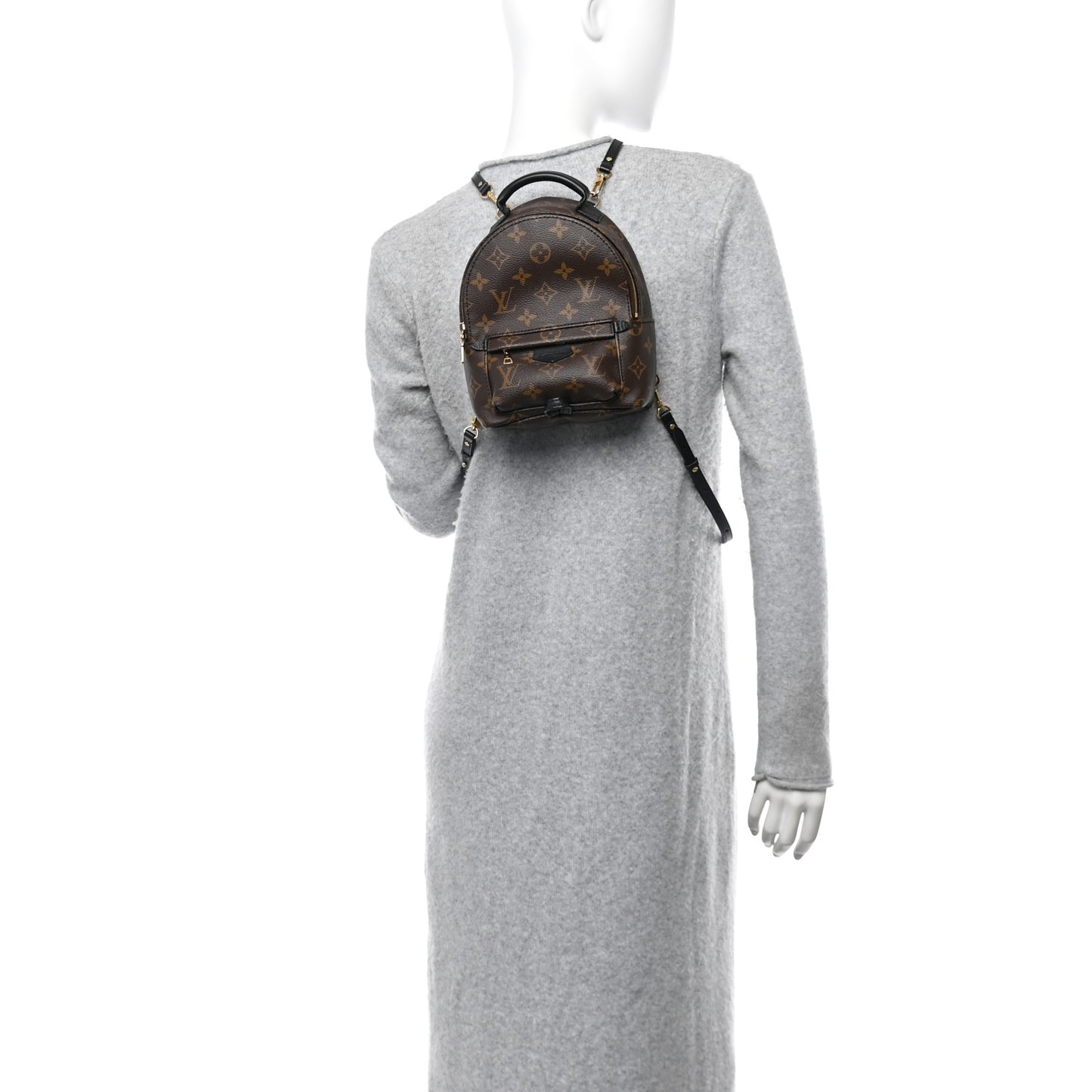 Monogram Palm Springs Backpack Mini