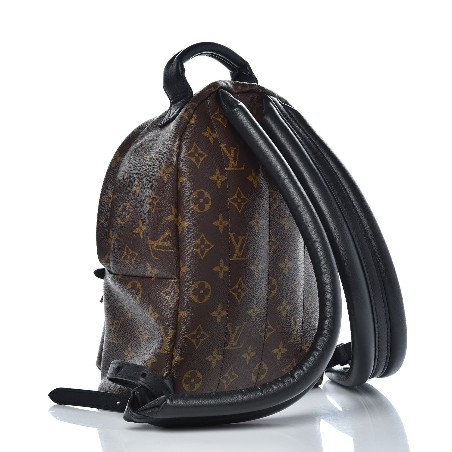 Louis Vuitton Monogram Palm Springs Backpack PM 3 of 7