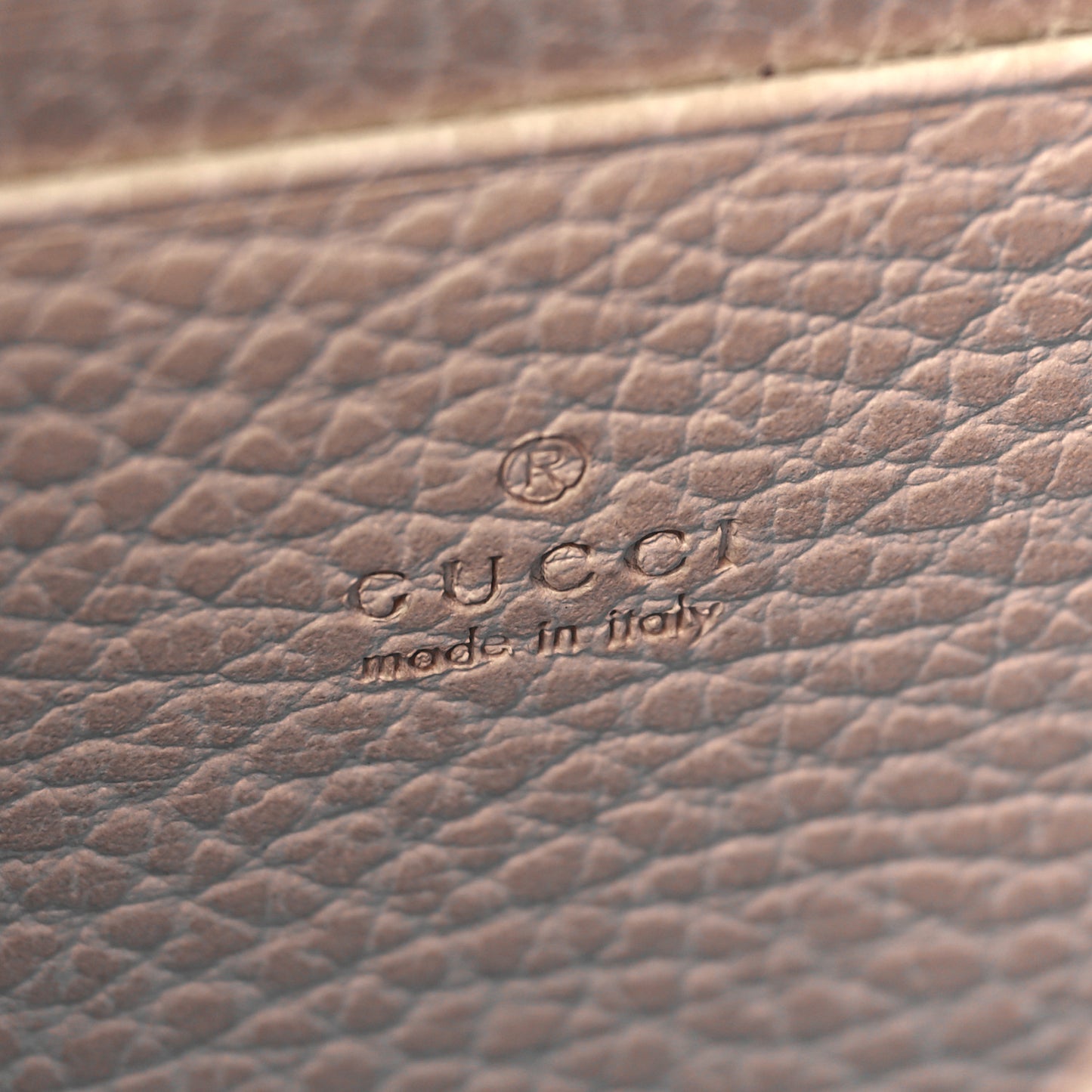 Dollar Calfskin Mini Dionysus Chain Wallet Mystic White