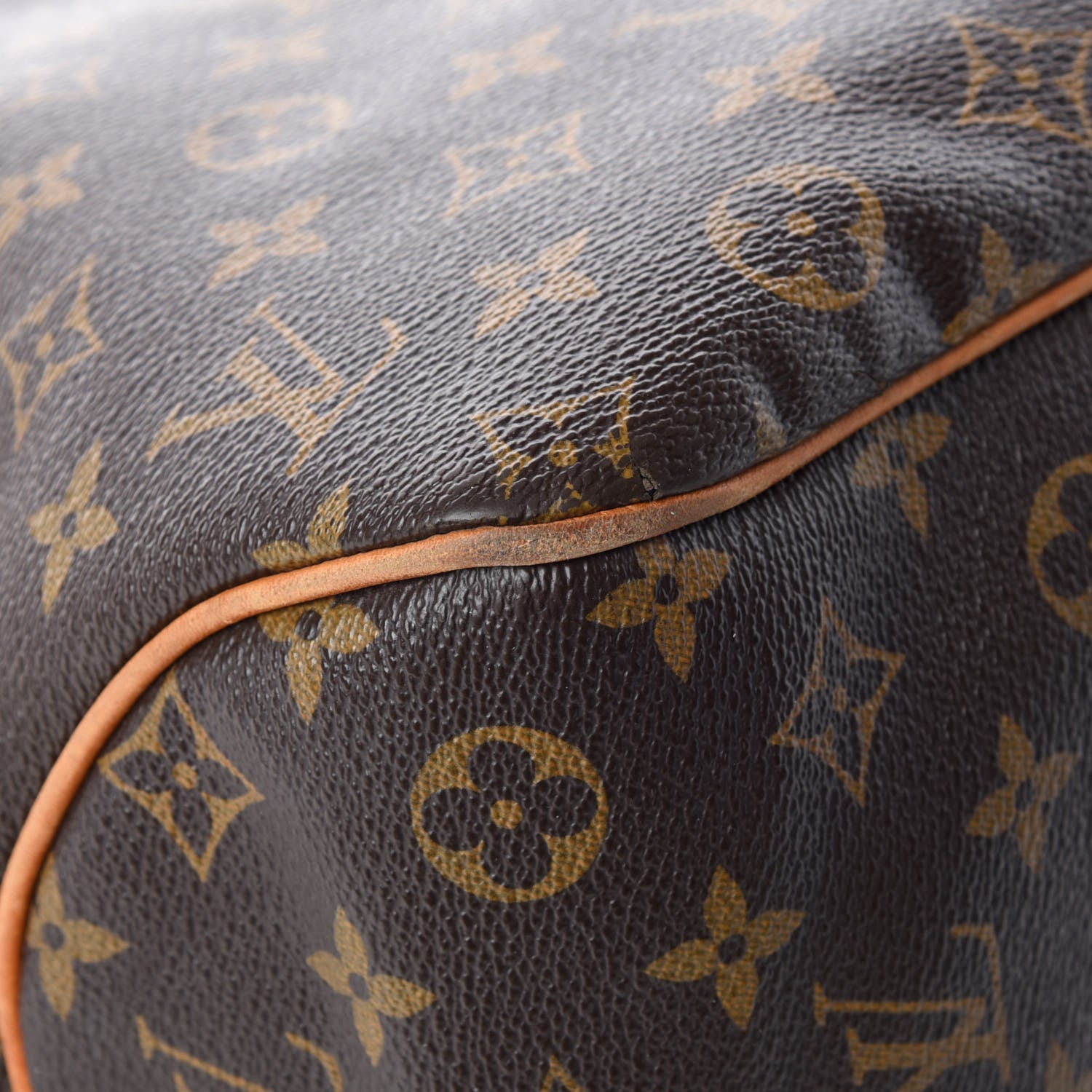 Louis Vuitton Monogram Delightful PM 11 of 22