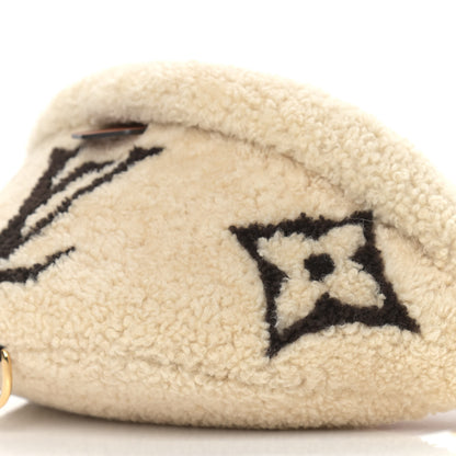 Louis Vuitton Monogram Teddy Bumbag 8 of 8
