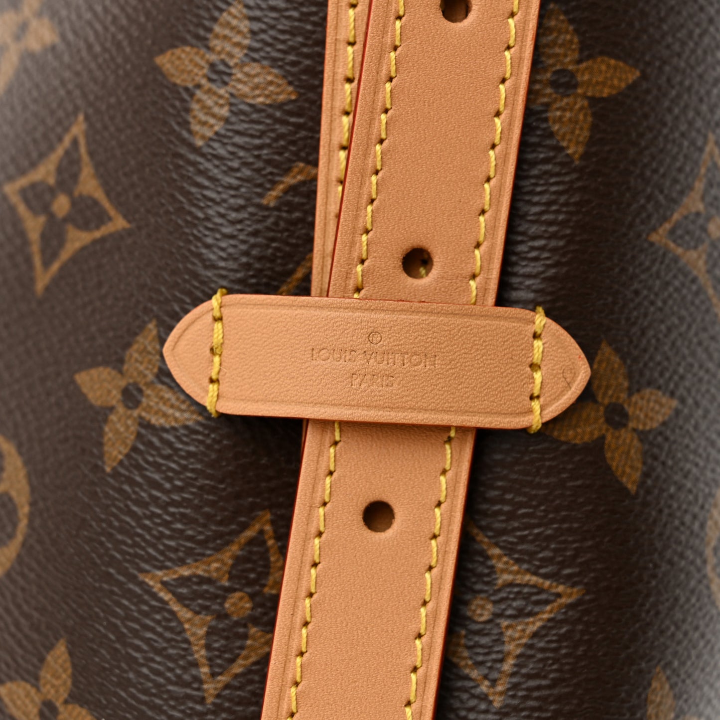 Monogram CarryAll MM