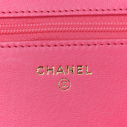 Chanel Lambskin Quilted Chanel 19 Wallet On Chain WOC Dark Pink 6 of 13