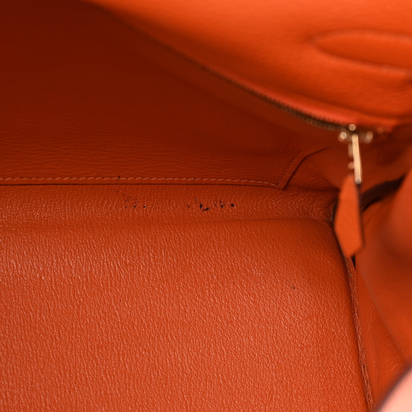 Taurillon Clemence Kelly Retourne 35 Orange