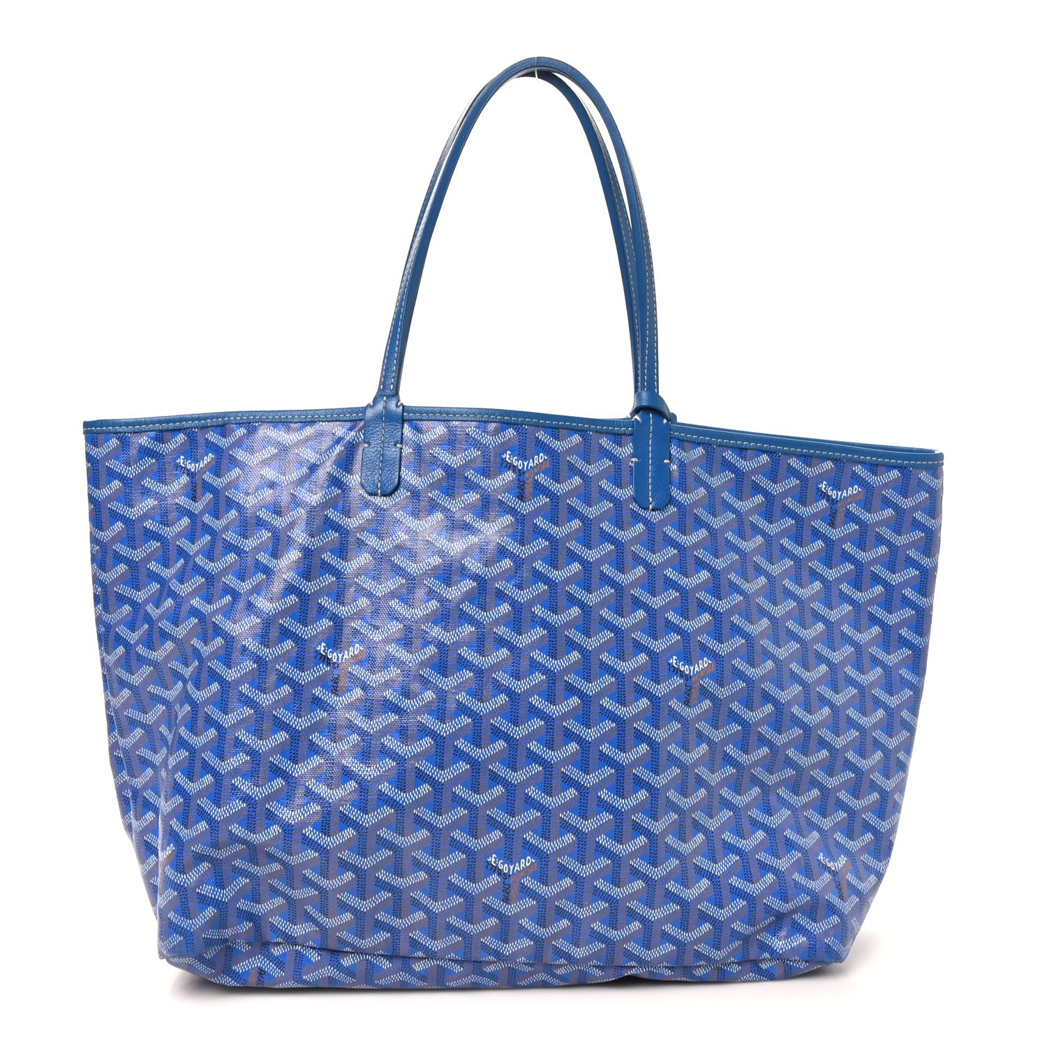Goyard Goyardine Saint Louis PM Sky Blue 1 of 11