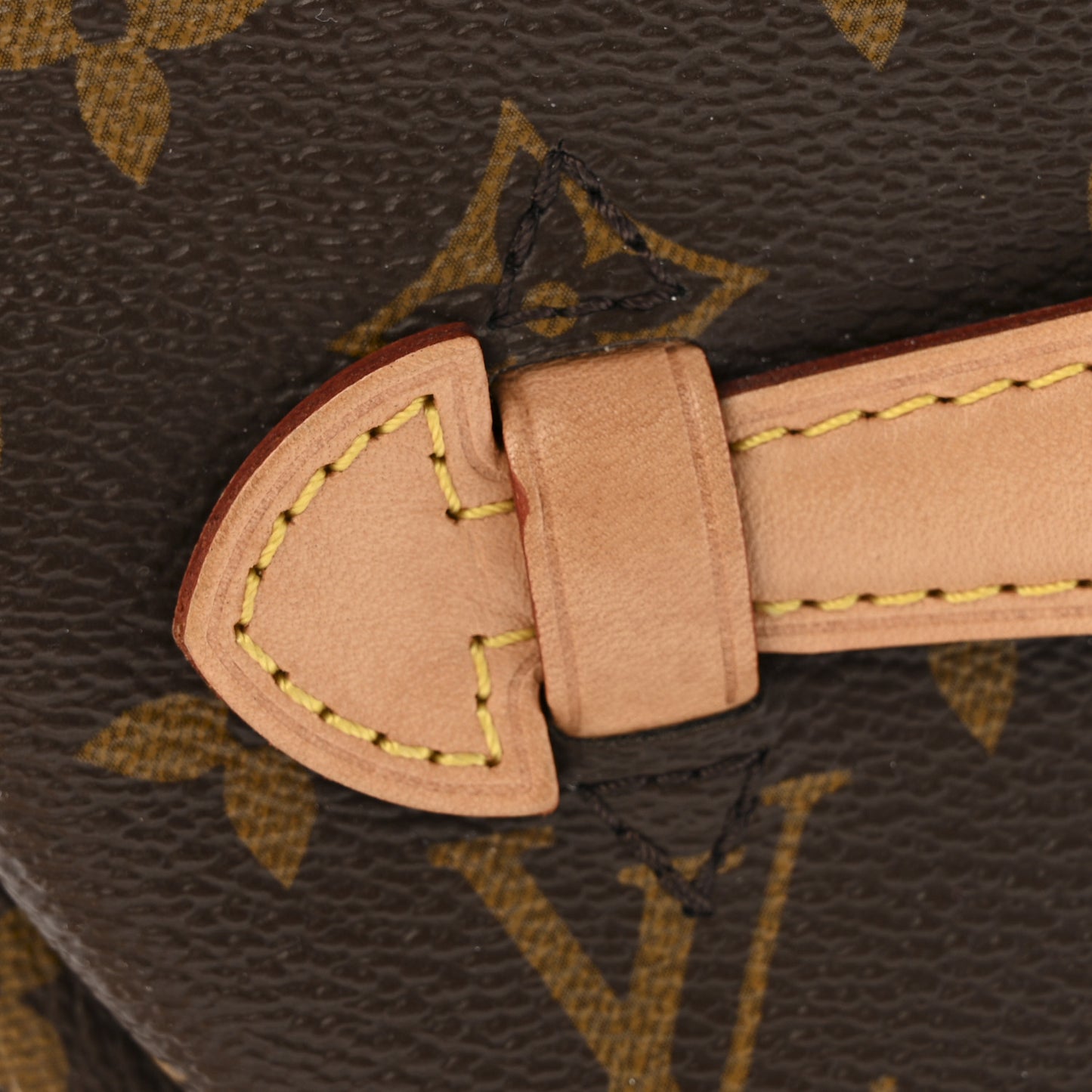 Monogram Bumbag