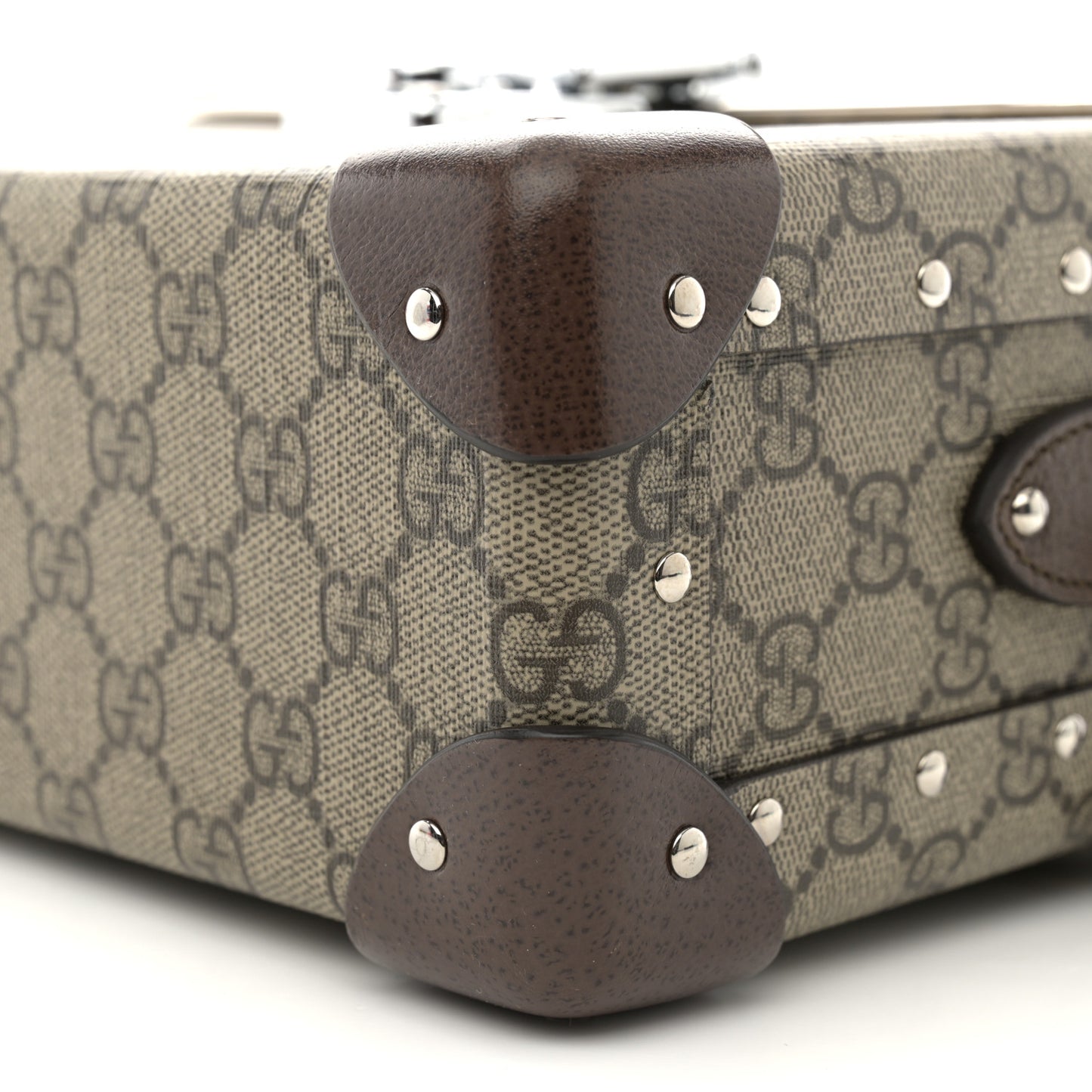 GG Supreme Monogram Globe-Trotter Beauty Case Brown