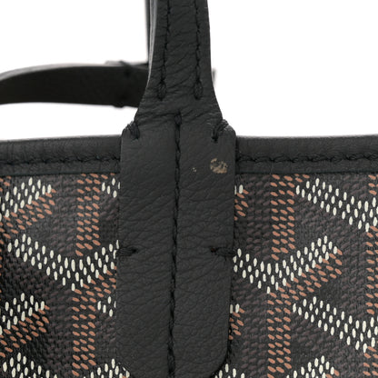Goyard Goyardine Saint Louis PM Black 12 of 12
