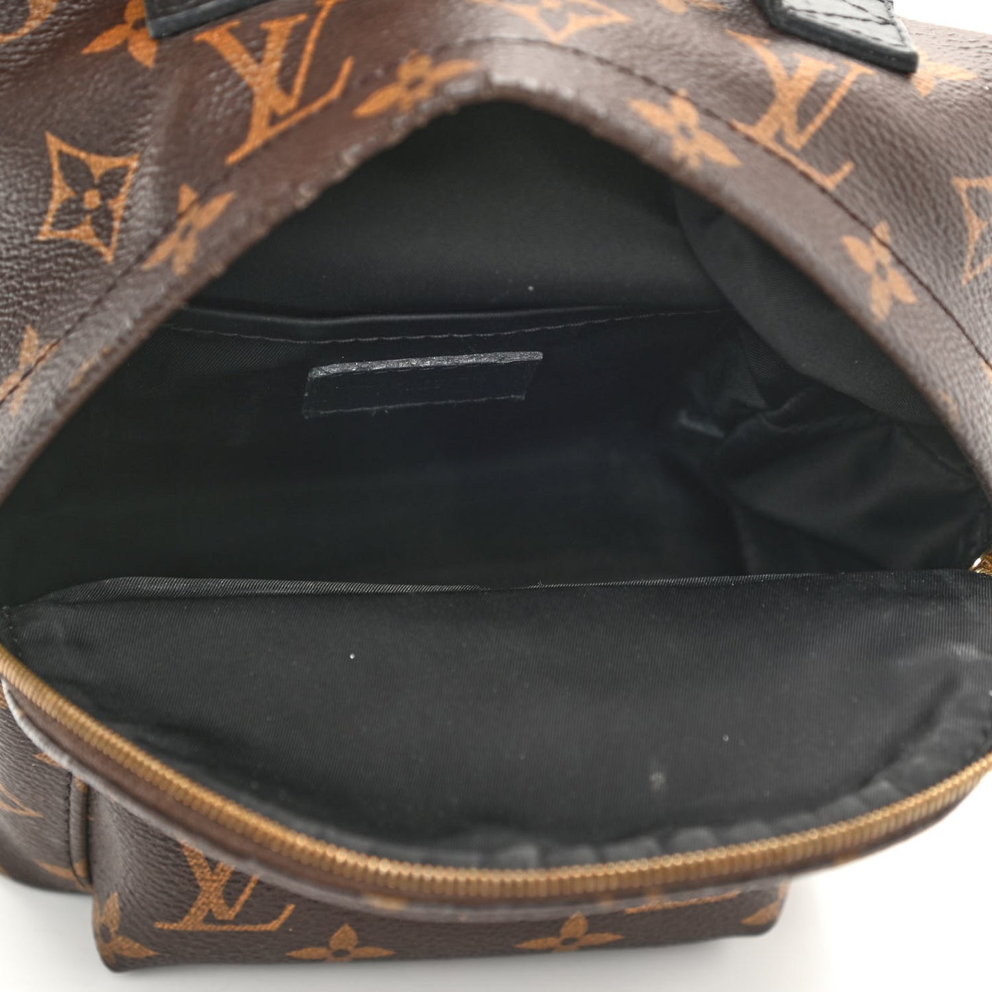Monogram Palm Springs Backpack Mini