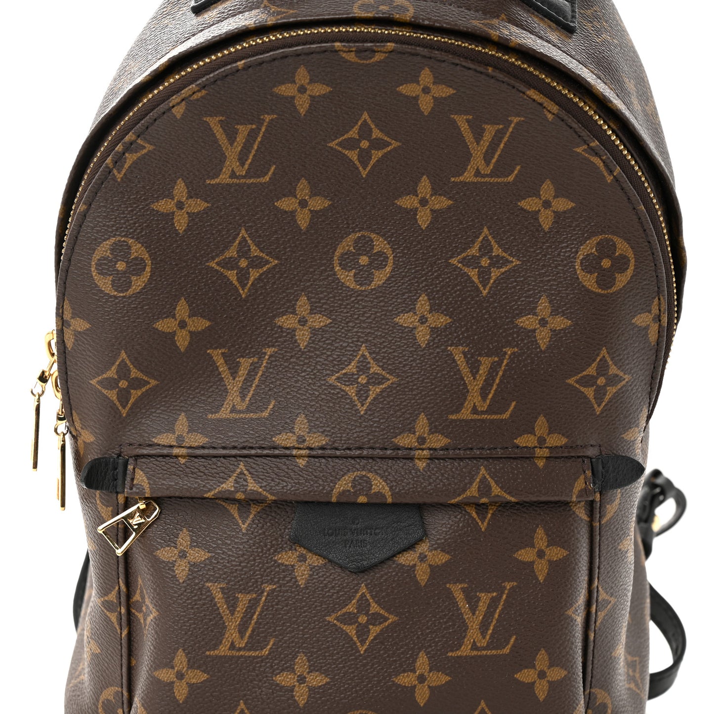 Monogram Palm Springs Backpack PM