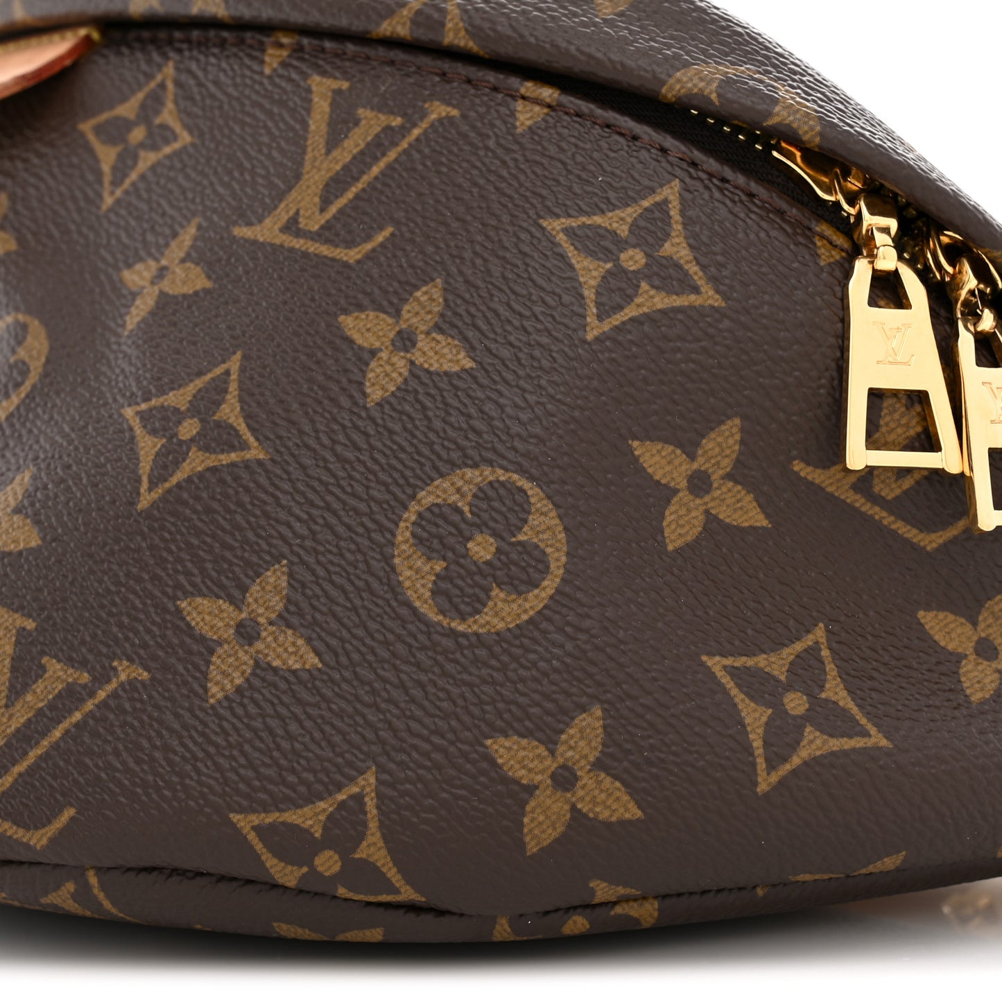 Monogram Bumbag