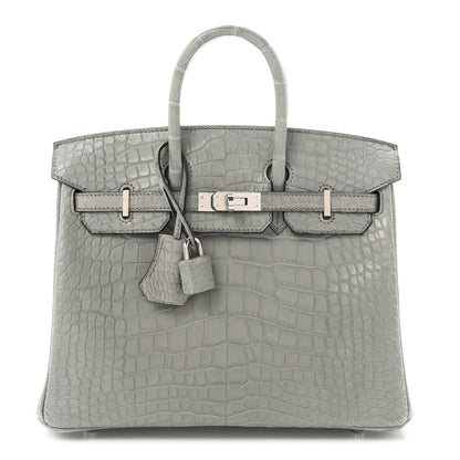 Hermes Matte Alligator Birkin 25 Gris Ciment 1 of 11