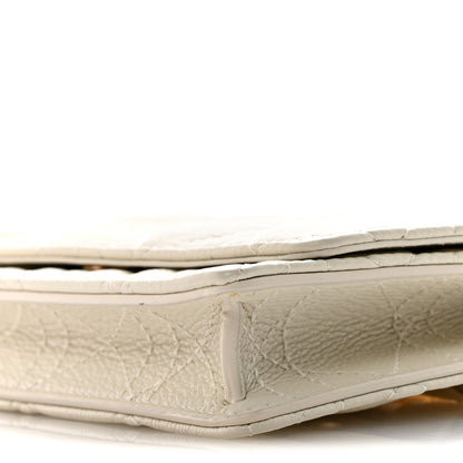 Christian Dior Supple Calfskin Caro Pouch with Chain Latte 10 of 15