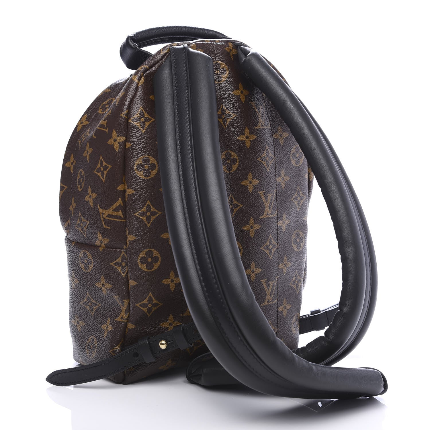 Louis Vuitton Monogram Palm Springs Backpack PM 2 of 10
