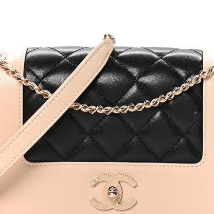 Chanel Sheepskin Quilted Medium Vintage Mademoiselle Flap Beige Black 8 of 12