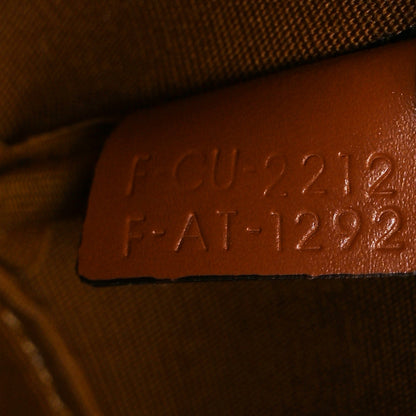 Celine Triomphe Canvas Calfskin Small Bucket Bag Tan 8 of 11