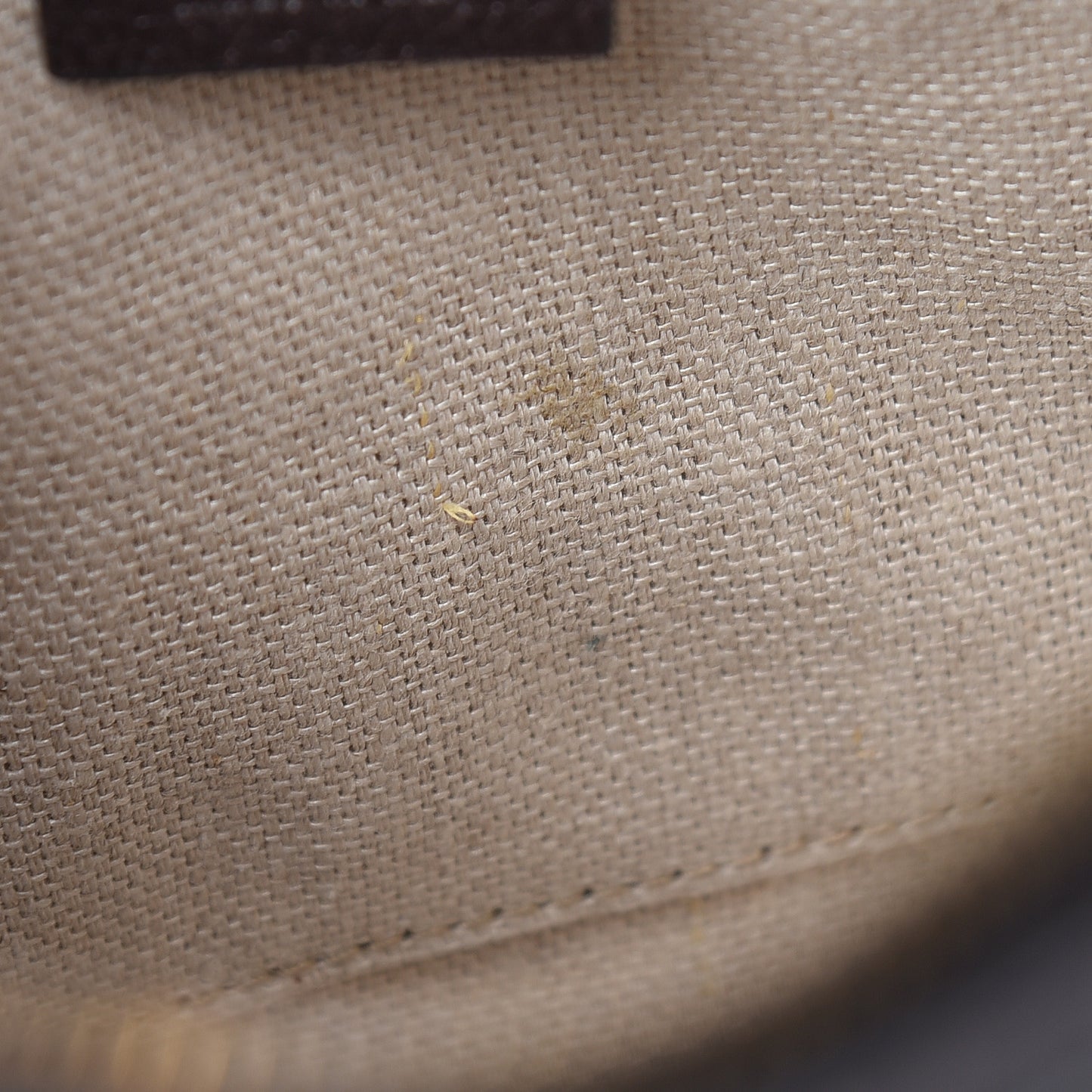 Textured Calfskin Web Small Webby Bee Shoulder Bag Brown Coffee