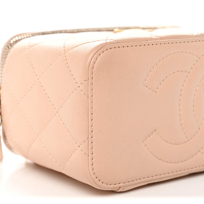 Chanel Lambskin Quilted Sweet Camellia Small Vanity Case With Chain Pink 9 of 11