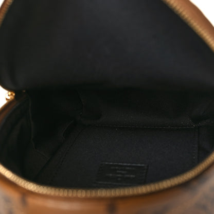 Louis Vuitton Reverse Monogram Palm Springs Backpack Mini 5 of 10