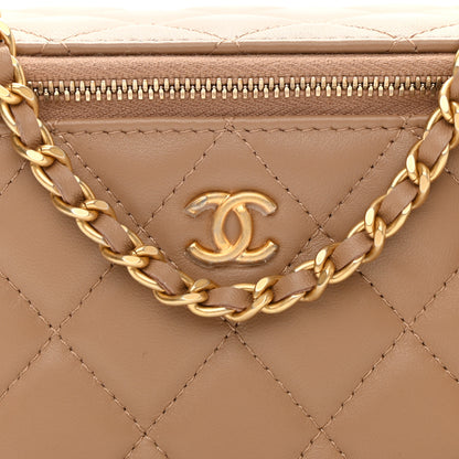 Chanel Lambskin Quilted Pearl Crush Small Vanity Case With Chain Beige 9 of 12