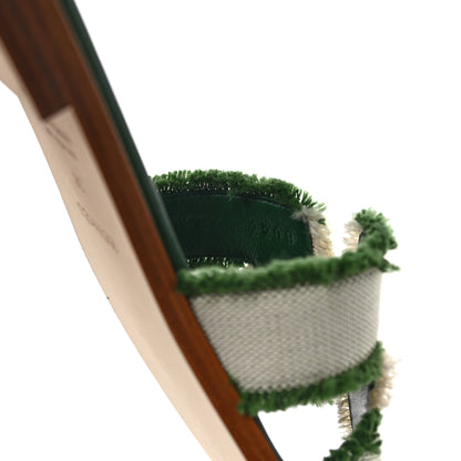 Hermes Toile H Oran Fringe Sandals 36 Vert 7 of 9